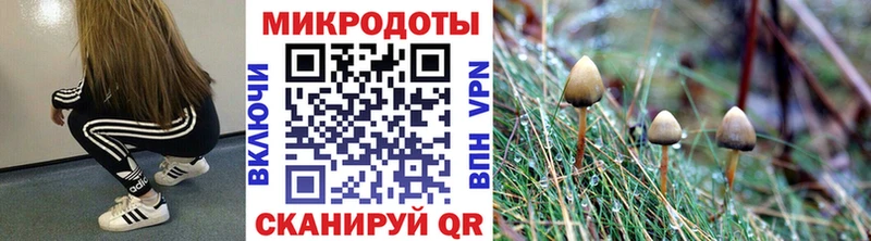 Купить  Жигулёвск  Псилоцибиновые грибы GOLDEN TEACHER 